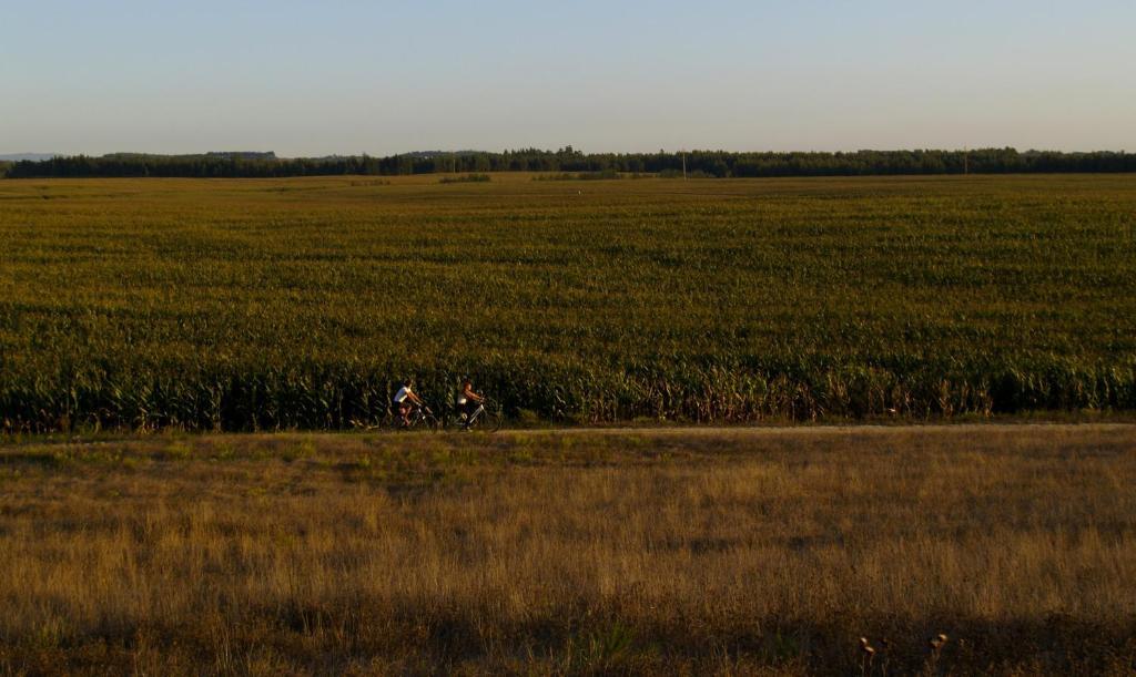 Herdade Do Sardanito Da Frente Zambujeira do Mar Kültér fotó