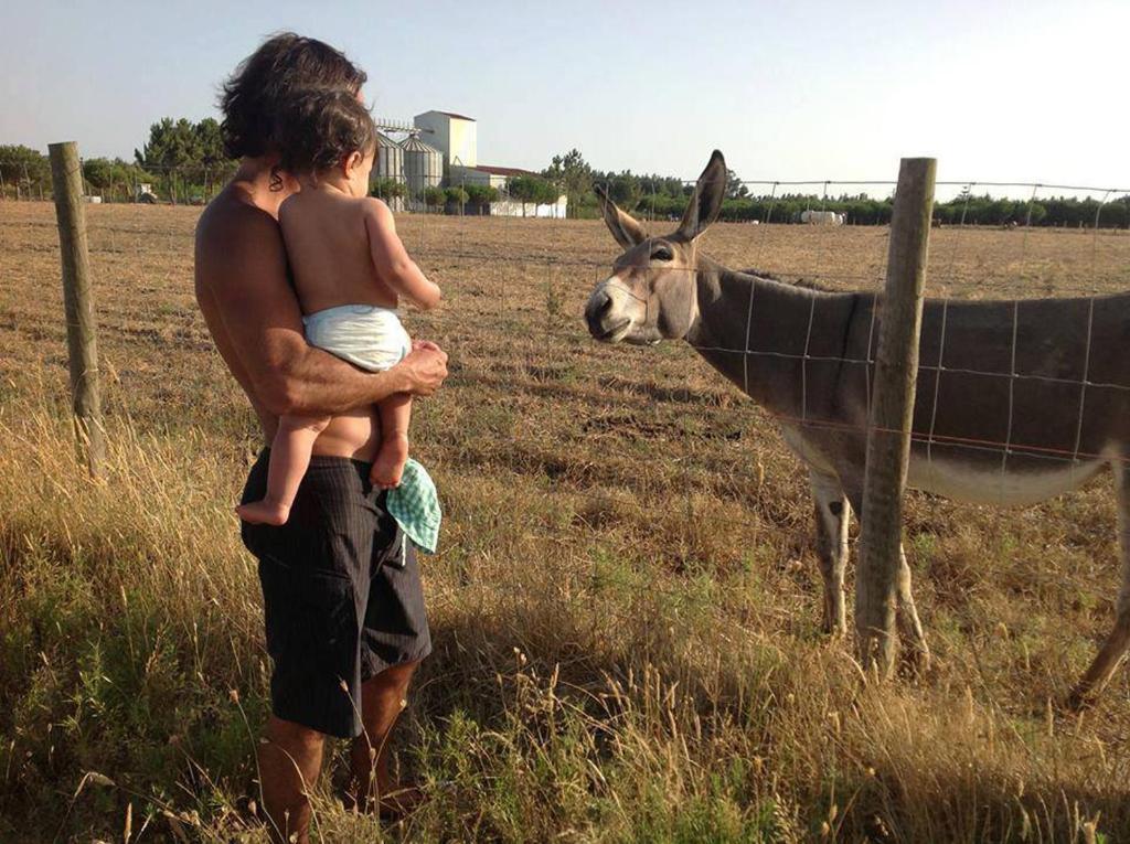 Herdade Do Sardanito Da Frente Zambujeira do Mar Kültér fotó